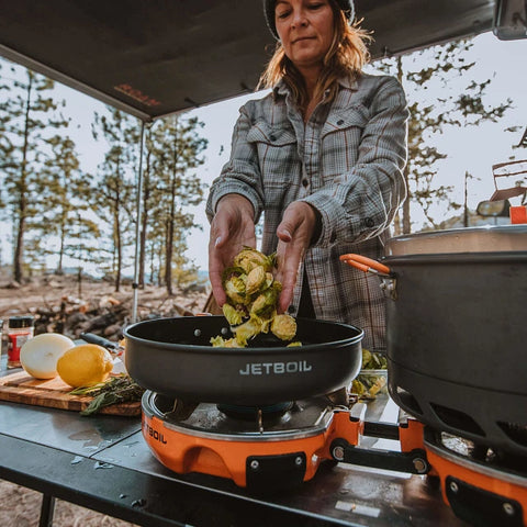 Genesis Basecamp Stove